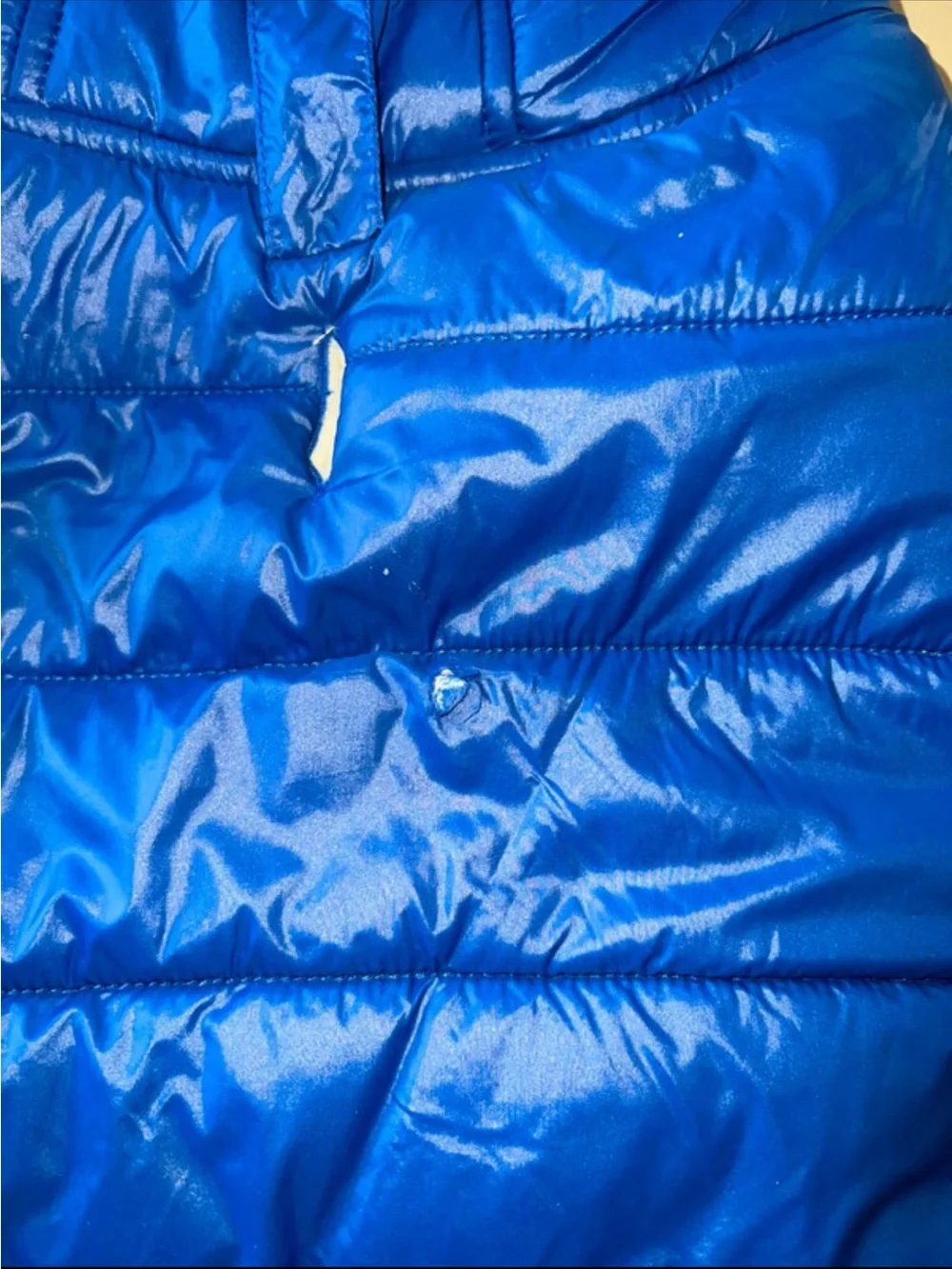 äd Worthy Dog Puffer Jacket - Blue, Warm & Lightweight XL